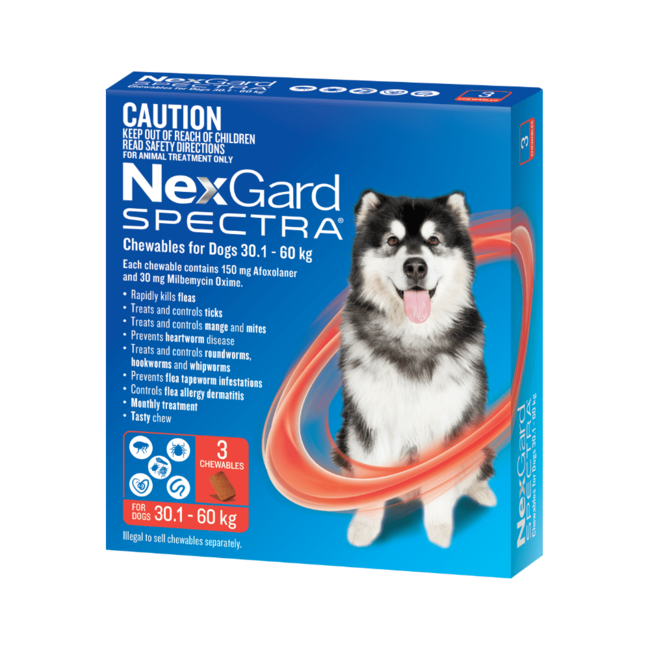 NexGard Spectra for Dogs